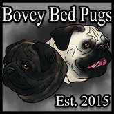 Bovey Bed Pug